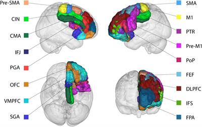 The Connectivity Fingerprint of the Human Frontal Cortex, Subthalamic Nucleus, and Striatum